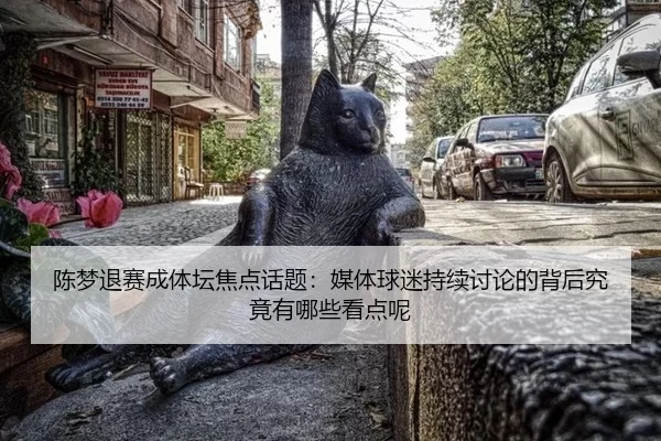 陈梦退赛成体坛焦点话题：媒体球迷持续讨论的背后究竟有哪些看点呢